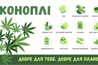 Коноплі в агрокультурі України і світу: історичний екскурс та сучасність фото